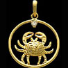 Cancer Pendant