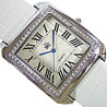 Swizz Jewel Designer Watch