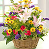 Exotic Arrangement