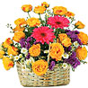 Best Wishes