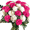 Carnations Hand Bunch
