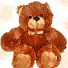 Brown Bear