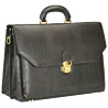 Water Lizard Print File Case Bag