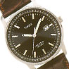 Timex Men's fashion